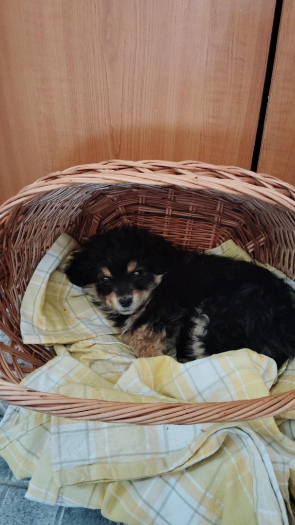 c40fdbcb-b252-4dc6-8242-183e0dcb90d2