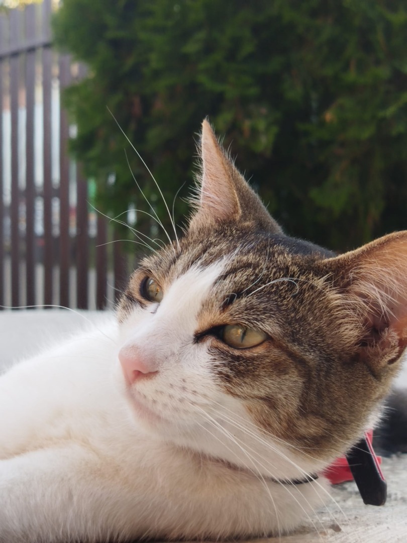 c502ceac-4e55-4e07-8754-68e3d19bc946