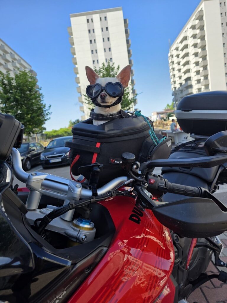 c5ed8095-863f-4a8a-a1b3-cb8e243b52f9