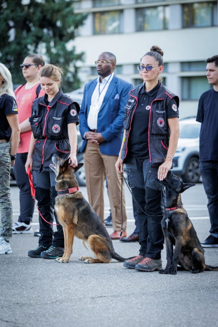 c9018335-5bf0-423d-82b7-4376e0b9f18c