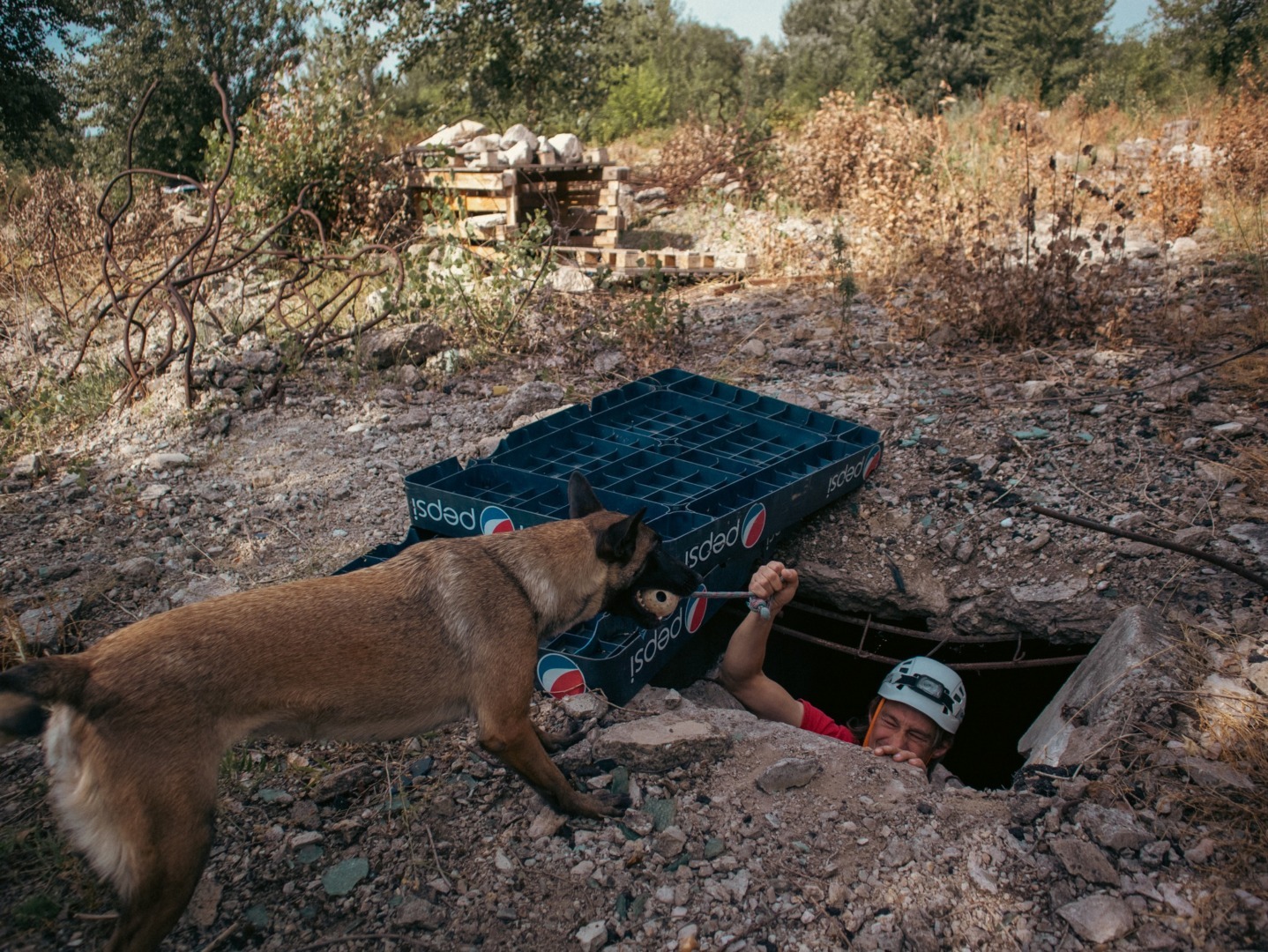 Câine utilitar la exercițiu, alături de un reprezentant IGSU