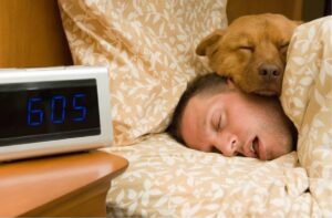 cainele doarme in pat cu stapanul