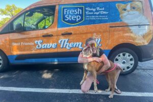 cainele s-a reintalnit cu stapana