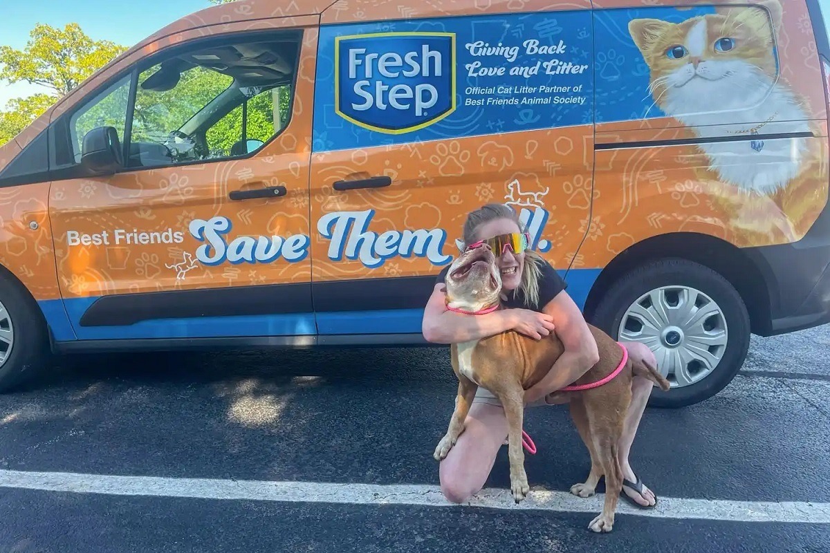 cainele s-a reintalnit cu stapana