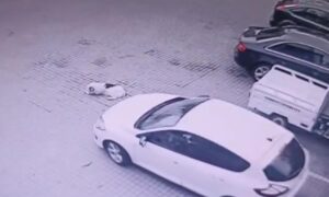 Mașini într-o parcare