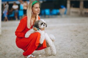 cainele si stapana pe nisip