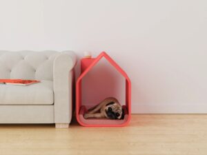 Un câine într-o căsuță printată 3D