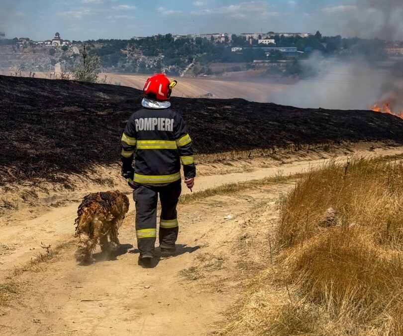 Cățel salvat de un pompier