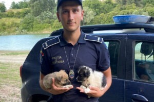 Cățelușii salvați în brațele polițistului de frontieră
