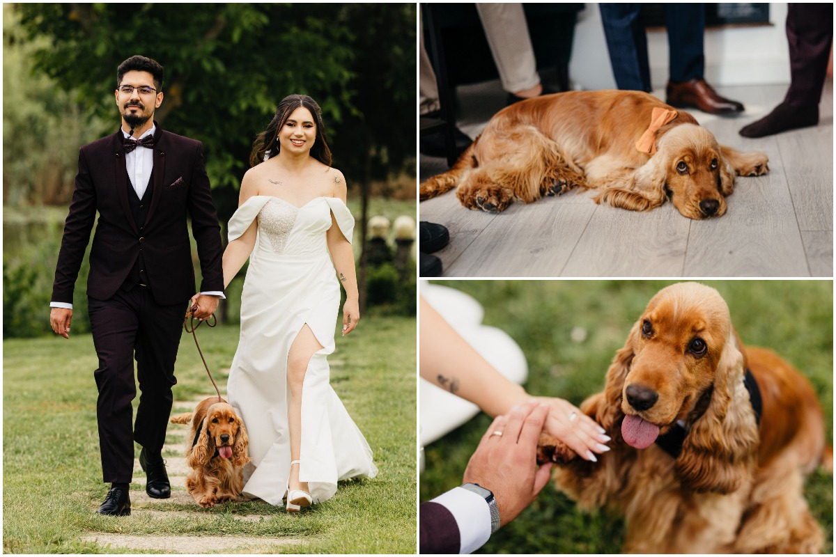 Colaj cu Enzo la nunta lui Gabriel și a Gabrielei