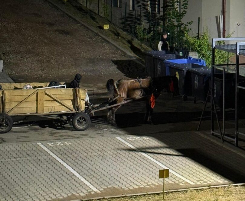 Căruță cu cal lângă un tomberon