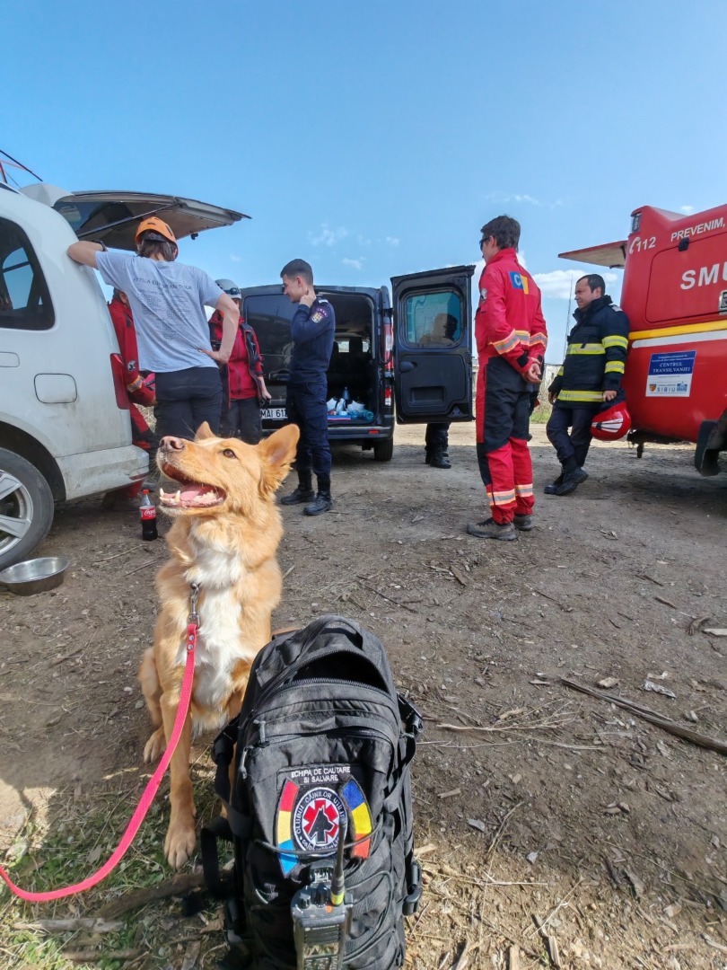 d646b11e-f503-45f6-8b6b-da870bb751d3