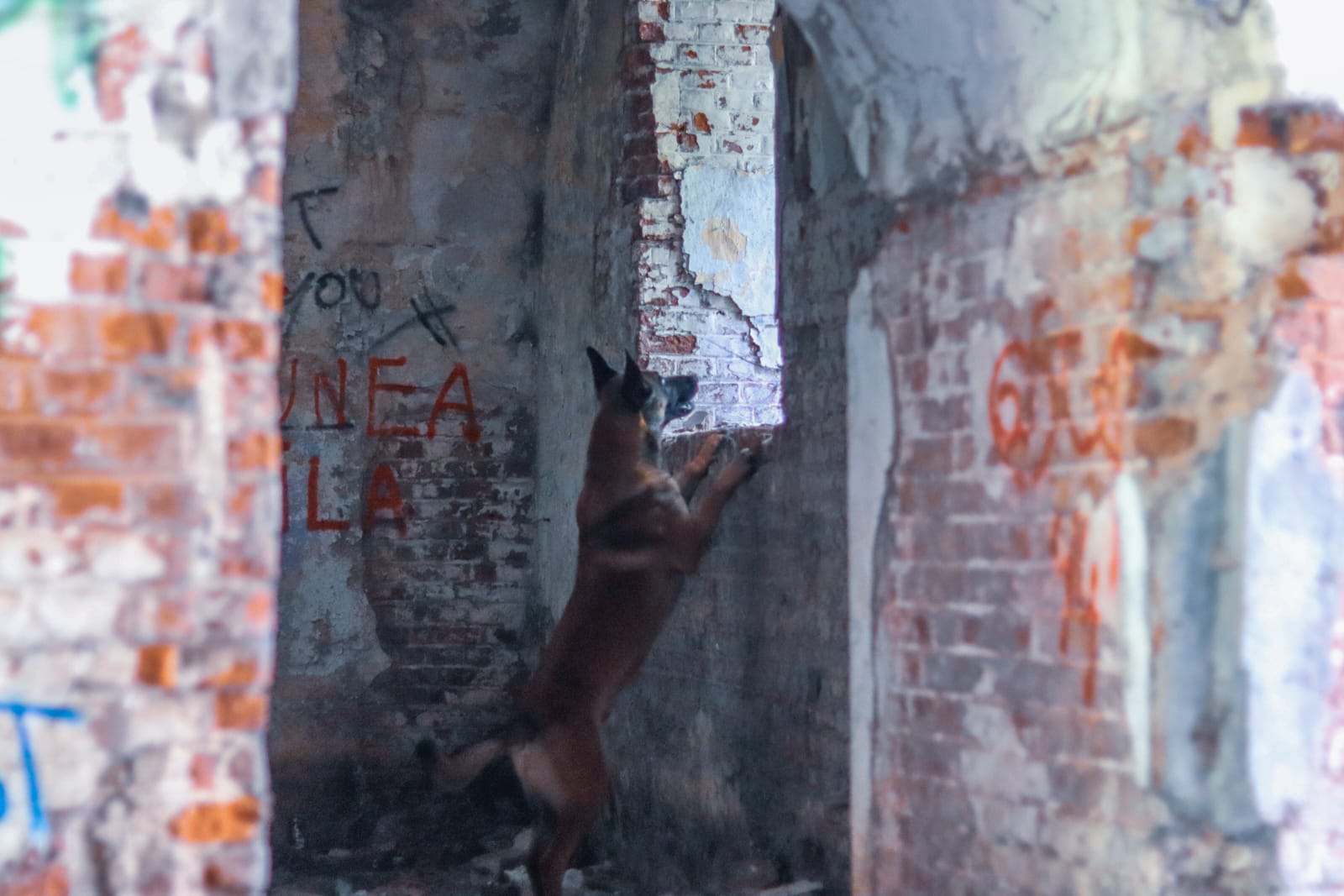 d728a35c-3e13-4eba-becc-e31bbfb50494