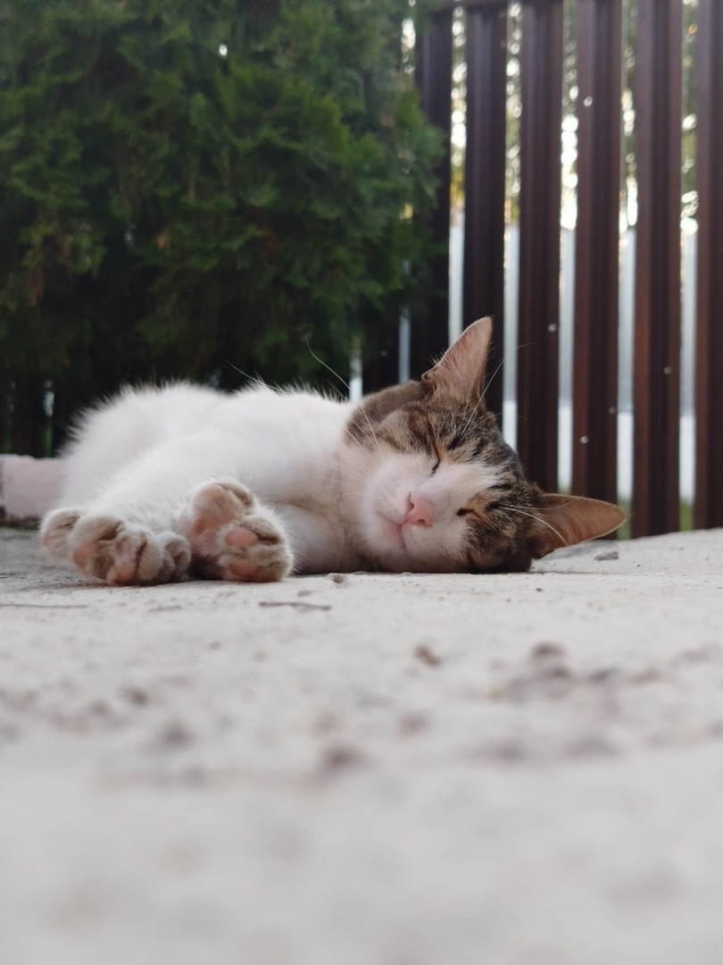 d780ac83-6da4-4e87-b87b-51f11ee1dbb4