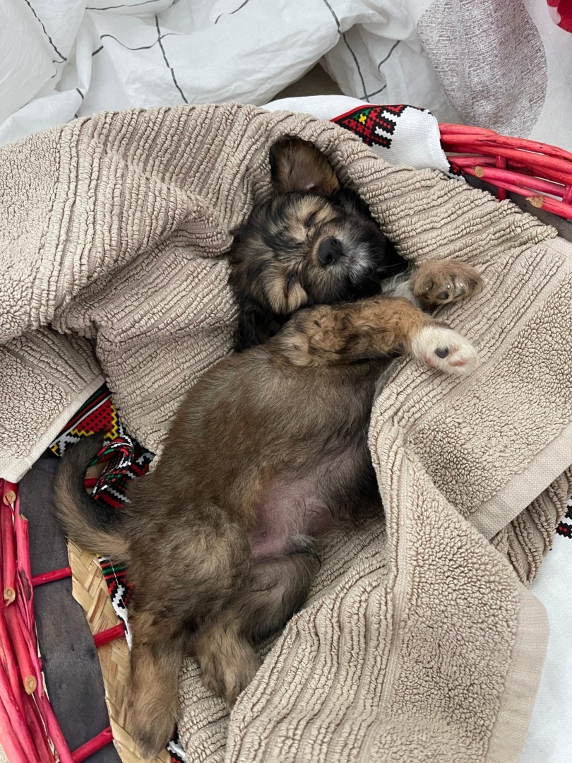 dbb3a78b-308f-4e7b-8995-b1b5652872c0