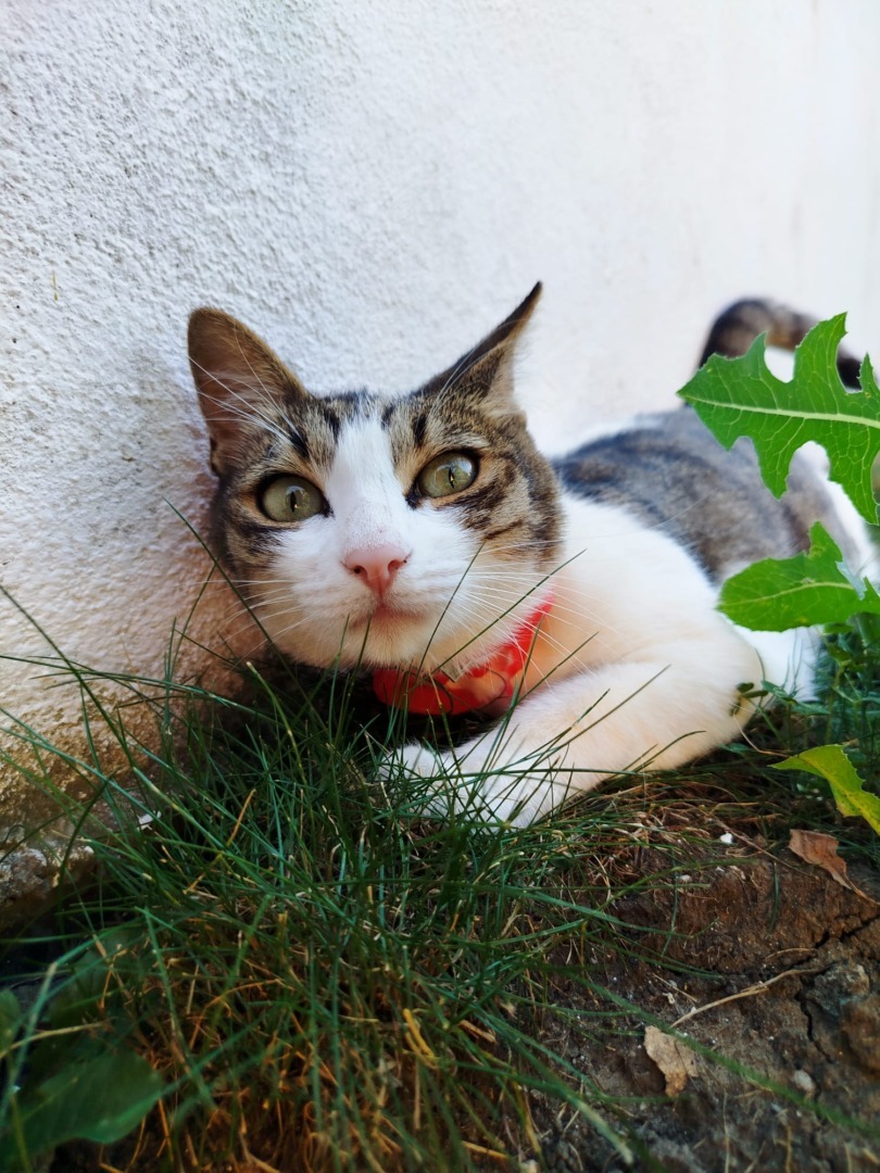 def48d1f-93cb-418f-9285-f709334bc8ae