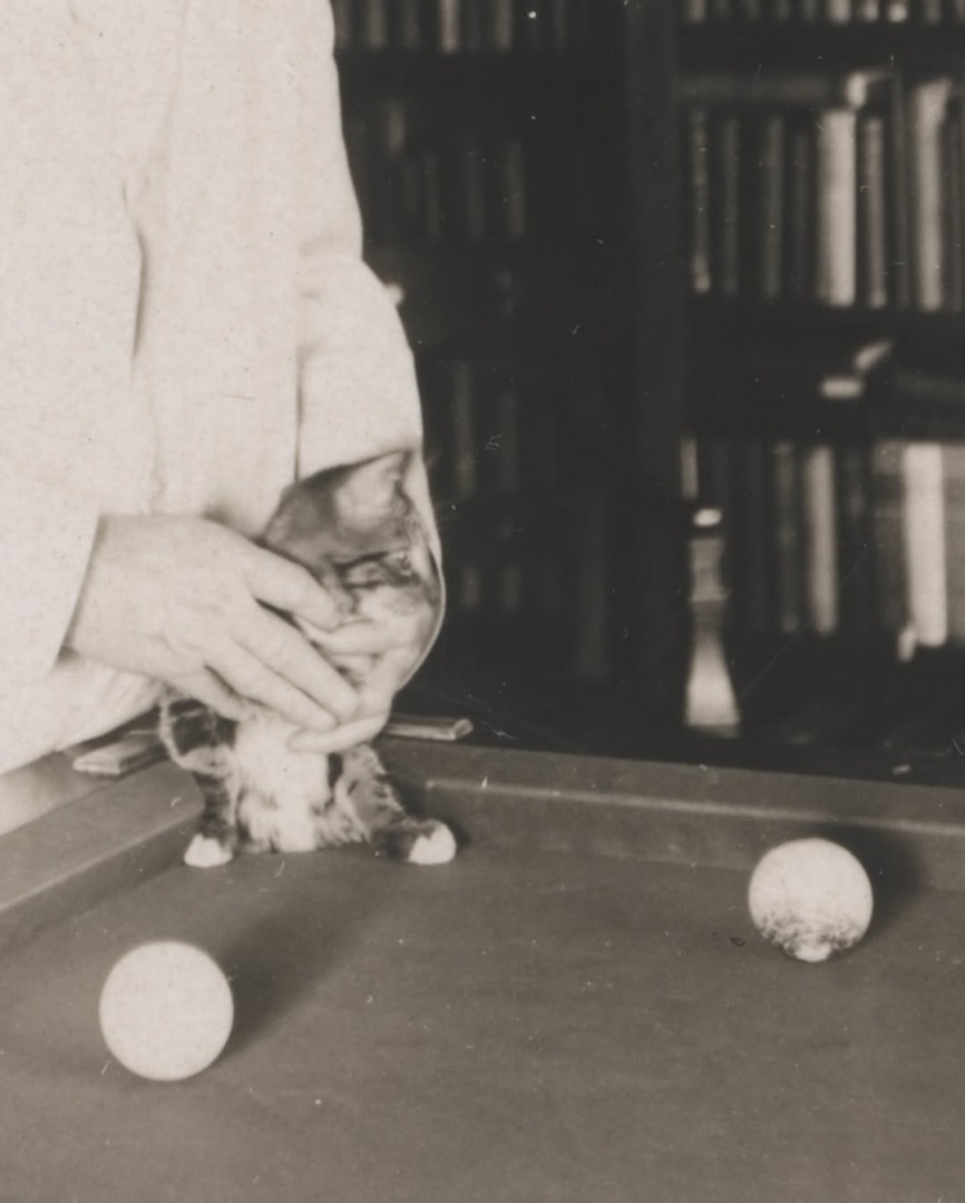 downloadgram.org_454588248_966774098556671_373963592777655835_n