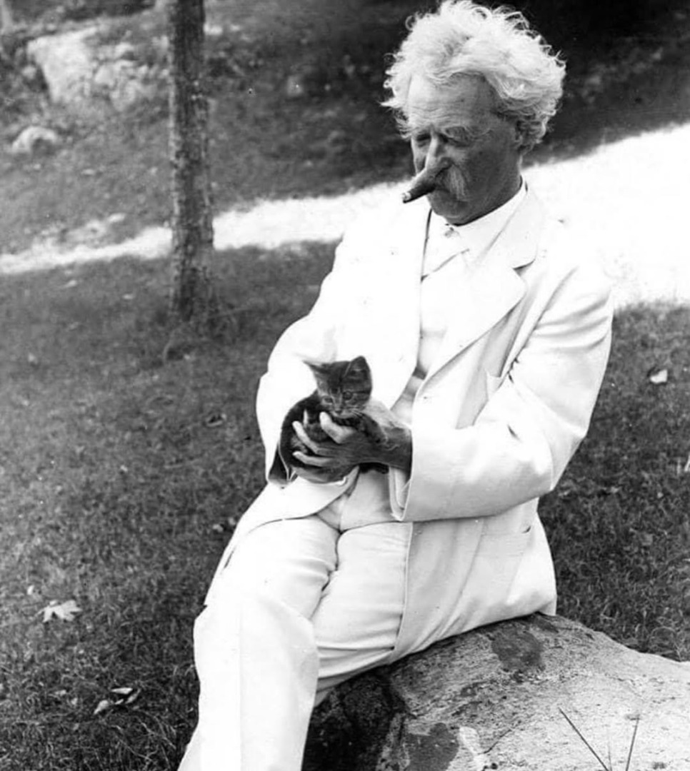 downloadgram.org_469237914_3536313316512146_4164304496280530182_n