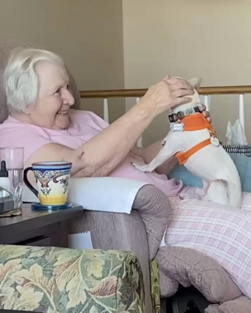 downloadgram.org_503880191_18523283212044850_1597620967172122693_n