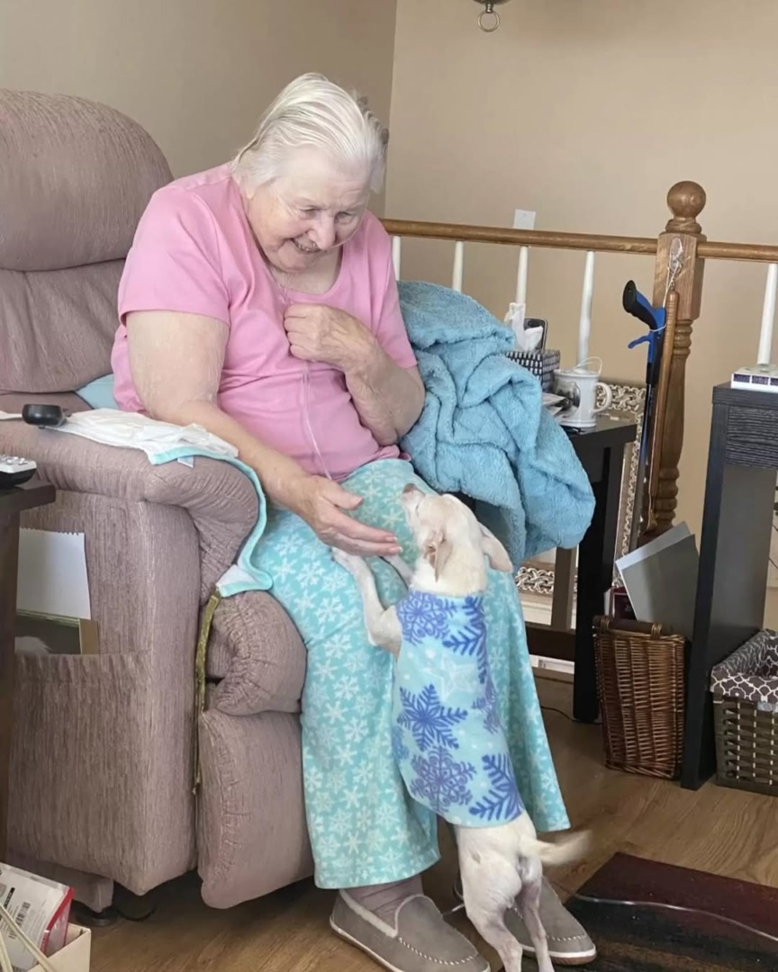 downloadgram.org_504159417_18523283197044850_6144609535340371831_n