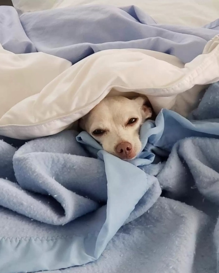 downloadgram.org_504217939_18523283215044850_7134590482719272567_n