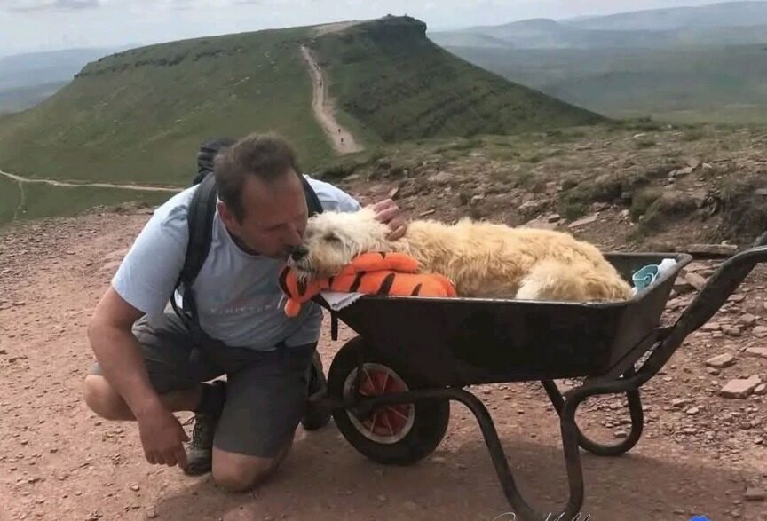 Un bărbat alături de câinele lui, pe munte