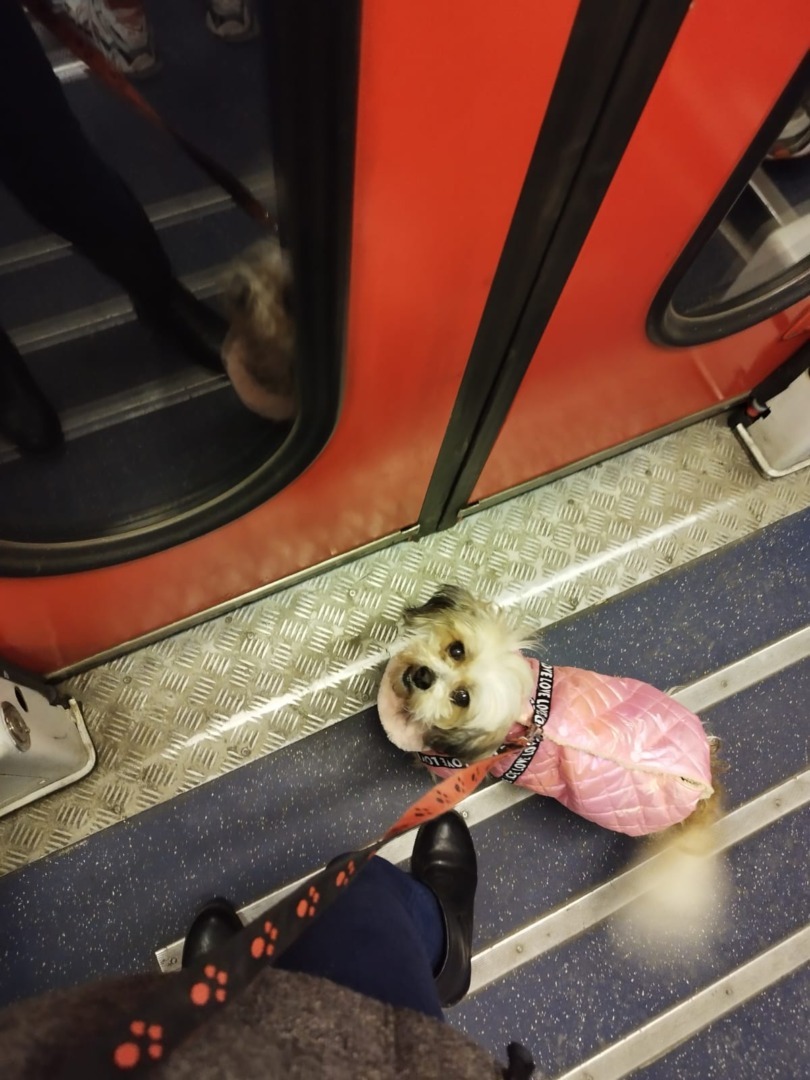 ead9e833-0fe6-4d7e-8b01-c45cdd355340