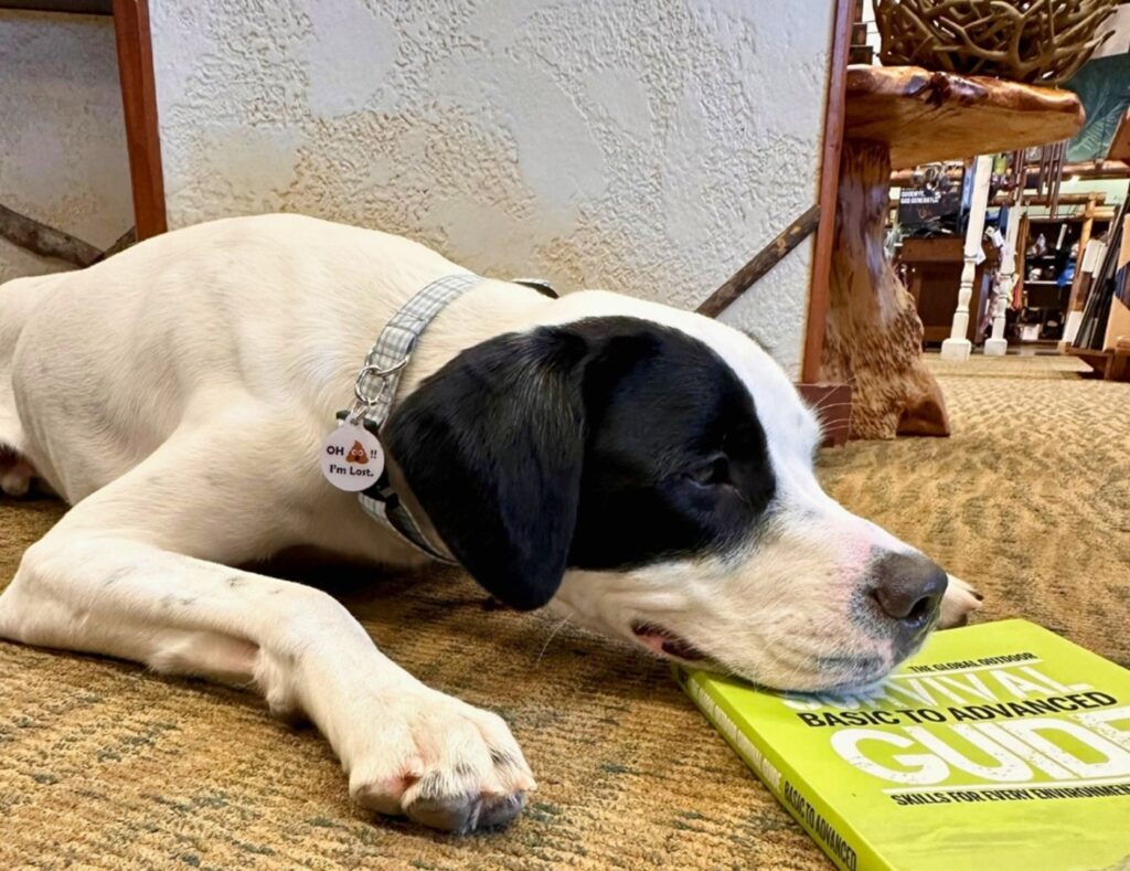 Câine așezat lângă o carte