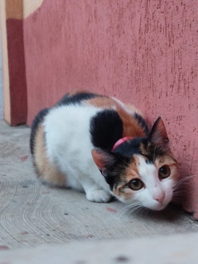 f3d09895-b330-4515-93e4-d5a7c5211418