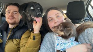 stapanii si cainii lor