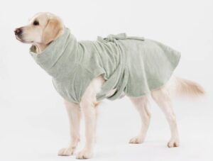 Câine în halat de baie