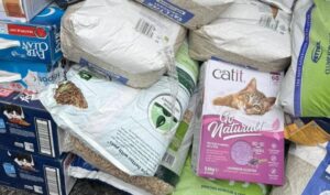 Produse pentru pisici