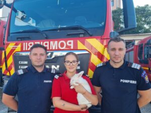 Iepuraș în brațele pompierilor