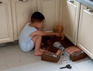 Un copil își hrănește câinele pe podeaua bucătăriei