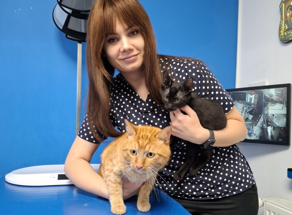 Medeea Iliopolis, medic veterinar, ține în brațe două pisici