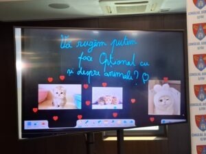 Panou ora cu și pentru animale