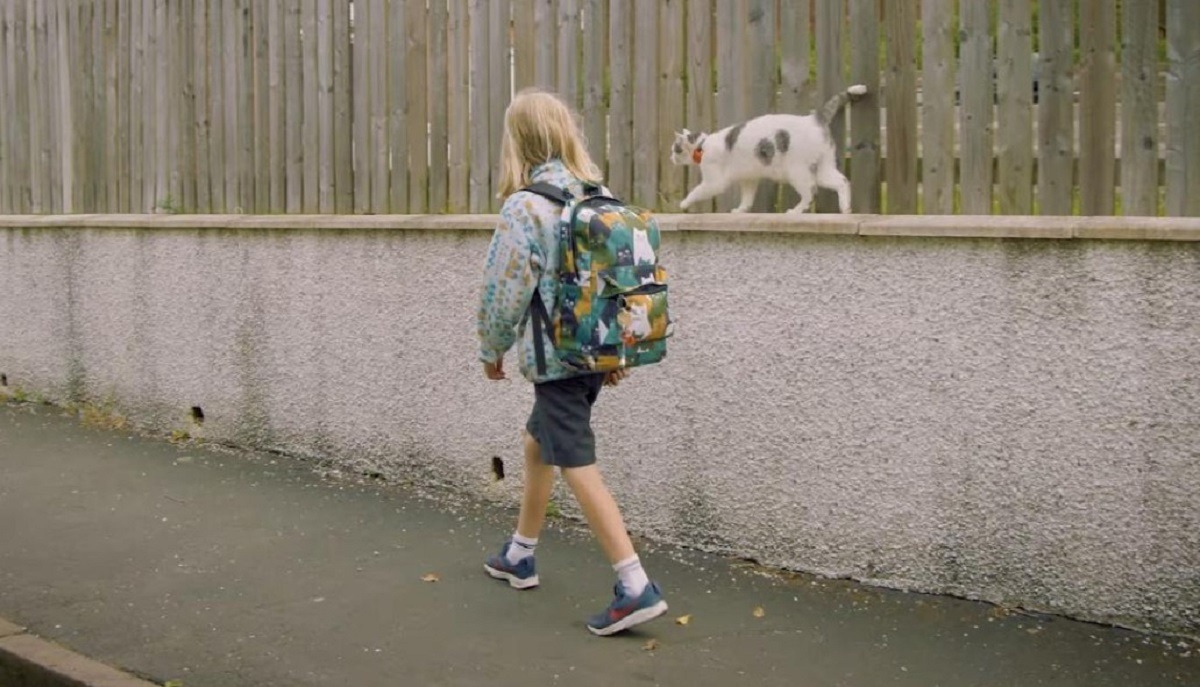 un copil insotit de pisica