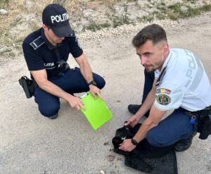 Doi polițiști salvează o pisică