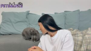 Roxana, petsitter, alături de un iepuraș