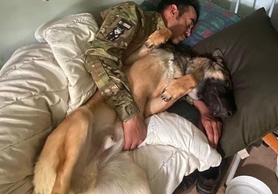 Un soldat doarme lângă câinele său