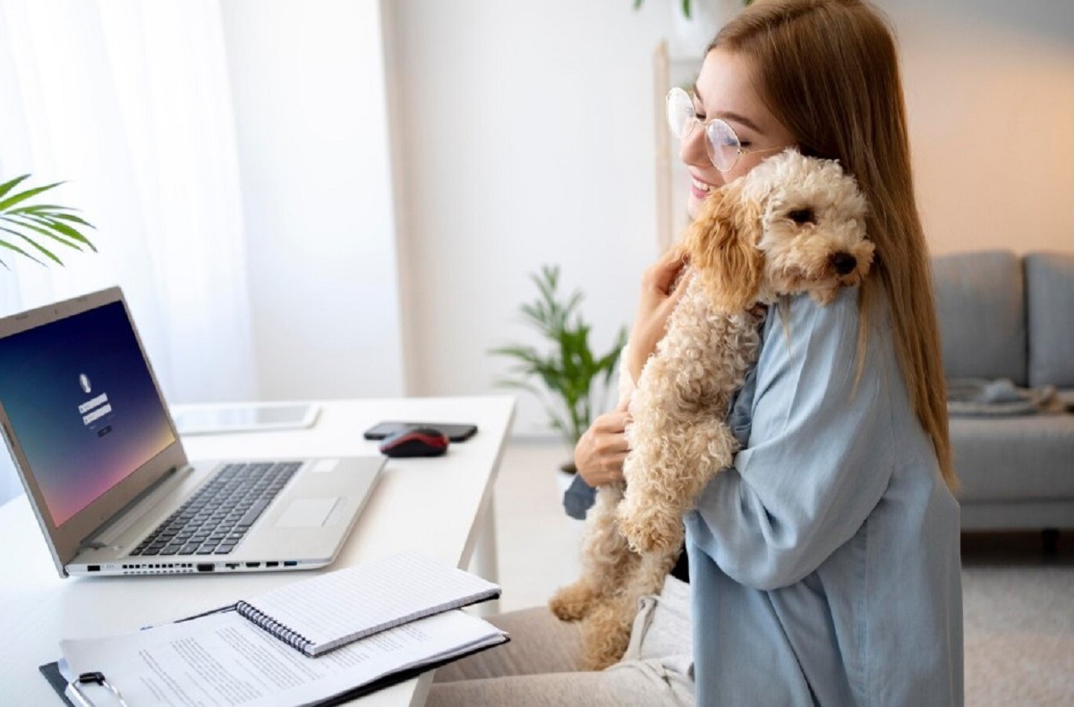 cainele sta in bratele stapanei