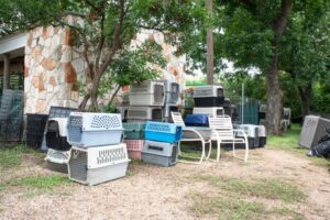 Cuști pentru animale