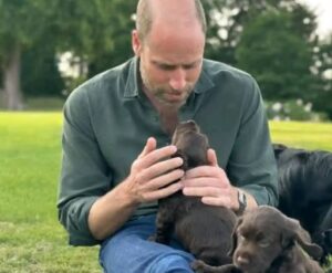 Prințul William alături de cățelușa lui