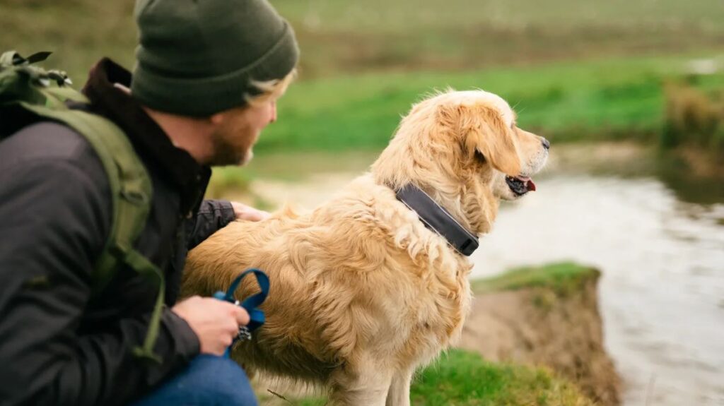 Un tânăr își mângâie câinele