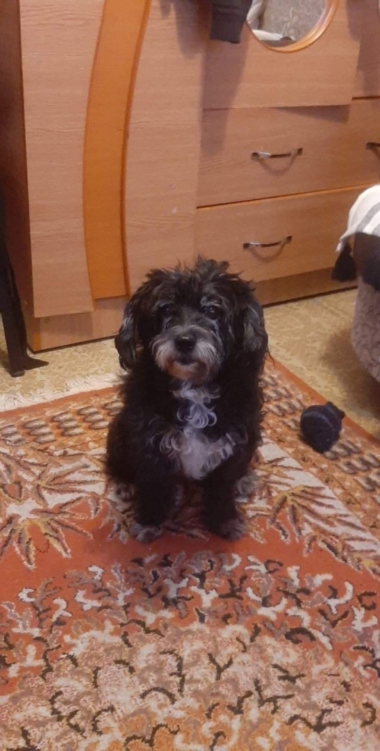 044042df-5548-44e4-99d7-f14540b8d1c3