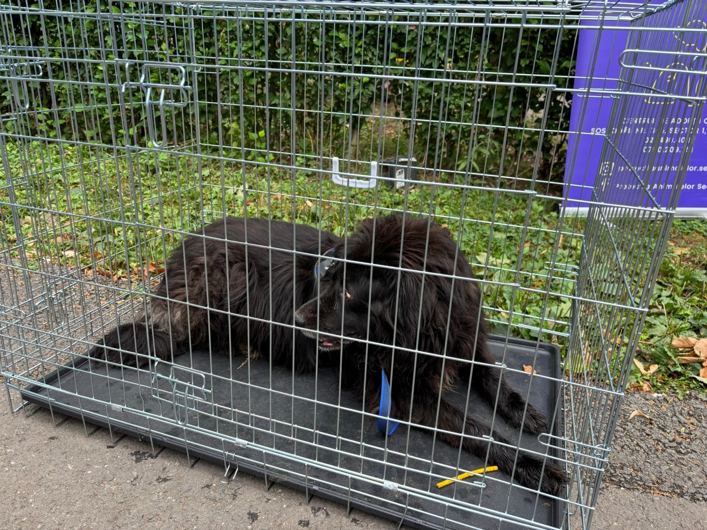 0ade5c6e-e65d-4fa0-bb83-004d70c30a24