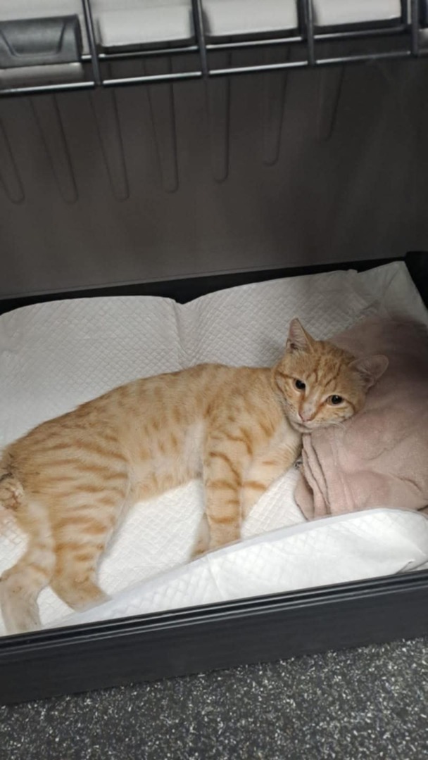 101d083d-40db-43ad-b5fe-bb56f28fb32c