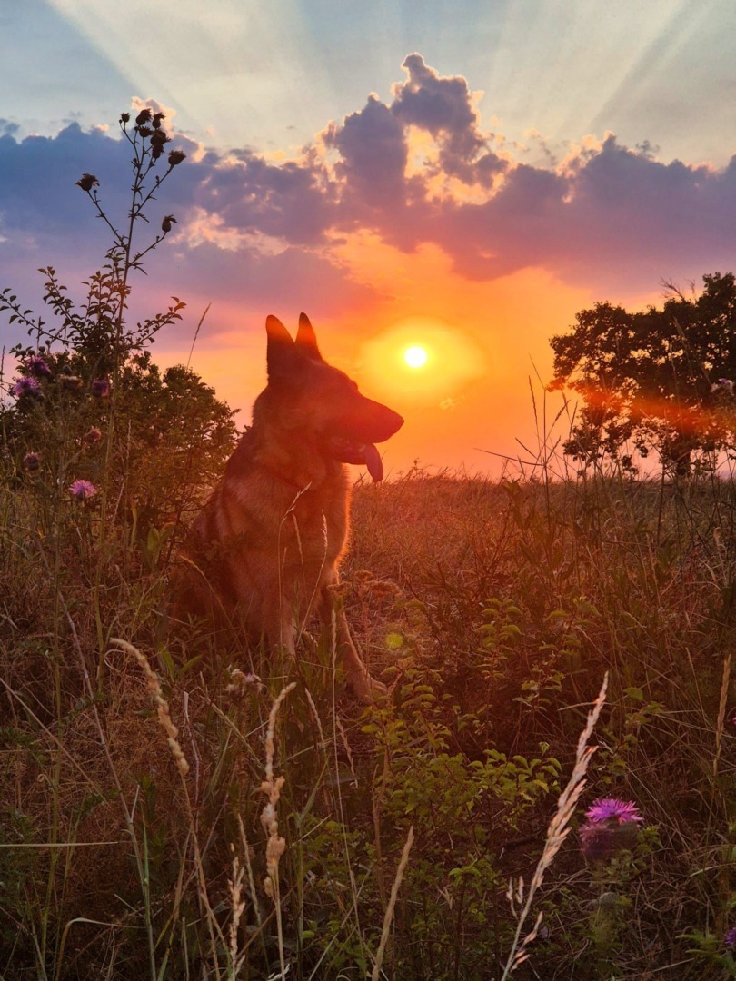 10f2b923-70da-4fb0-b794-d9d4a1bcac67