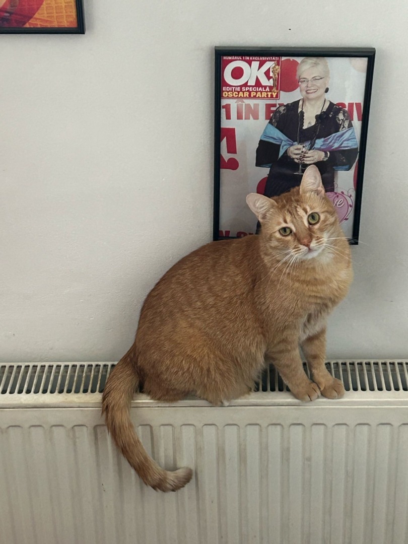 1386a2cf-d8d1-47e0-9730-c50f7d9c4b05