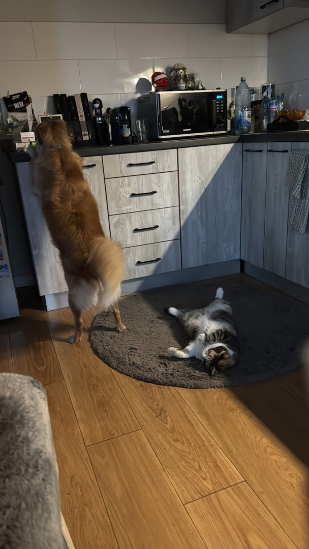 158f1fa2-f7c7-4054-b8e6-d22262128d69